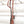 Load image into Gallery viewer, Cactus Saddlery Trevor Brazile Single Ear Tooled Headstall
