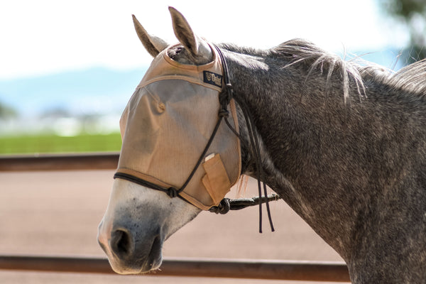 Cashel Standard Econo Fly Mask Without Ears
