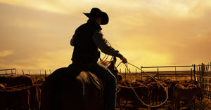 A man riding a horse in a cattle pen while swinging a lasso in the air to rope a calf. More cattle stand behind the rider.