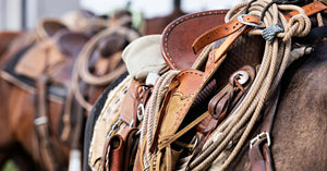 A tied rope and other ranching gear attached to a saddle on a horse. Another horse in the background wears similar equipment.