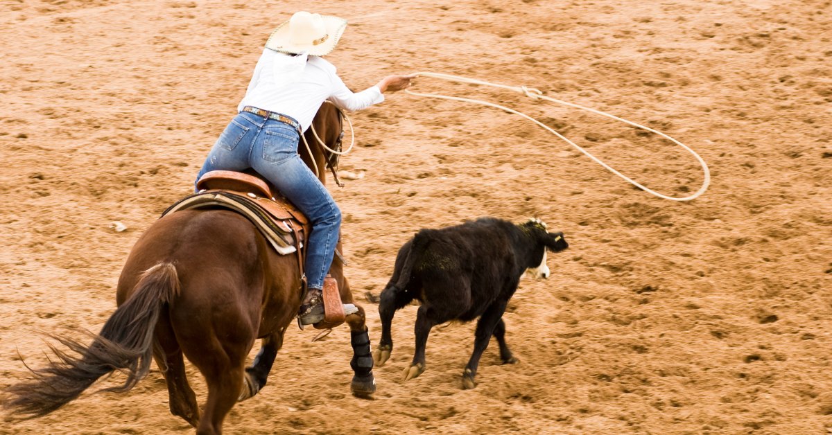 2 Breakaway Rope Techniques Every Cowboy Should Master – Frontier ...
