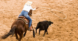 A rider on horseback sits forward in their saddle as they follow a calf in an arena. The rider swings a lasso above the calf.