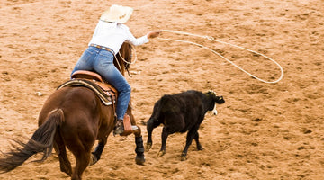 A rider on horseback sits forward in their saddle as they follow a calf in an arena. The rider swings a lasso above the calf.