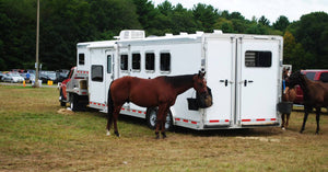 The backside view of a horse trailer attached to a truck parked in a field. Three brown horses stand behind the trailer.