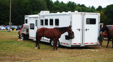 The backside view of a horse trailer attached to a truck parked in a field. Three brown horses stand behind the trailer.