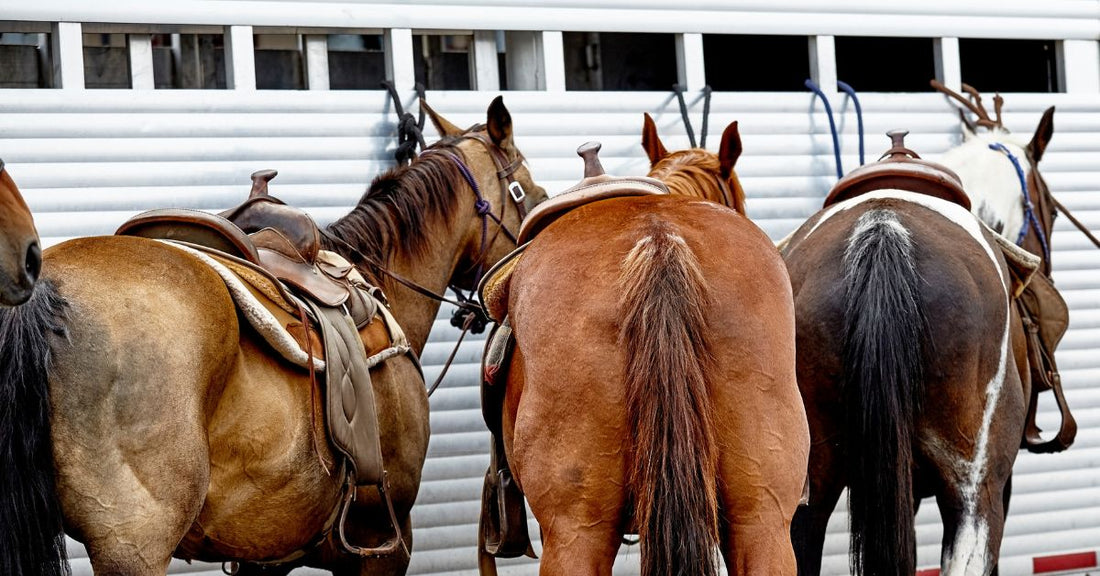 Why You Should Let a Pro Repair Your Horse Trailer