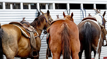 Why You Should Let a Pro Repair Your Horse Trailer