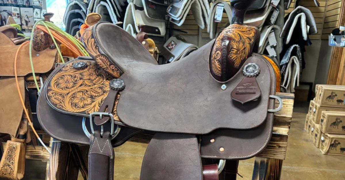 Beaver Roping Saddle How To Properly Fit a Roping Saddle to Your Horse