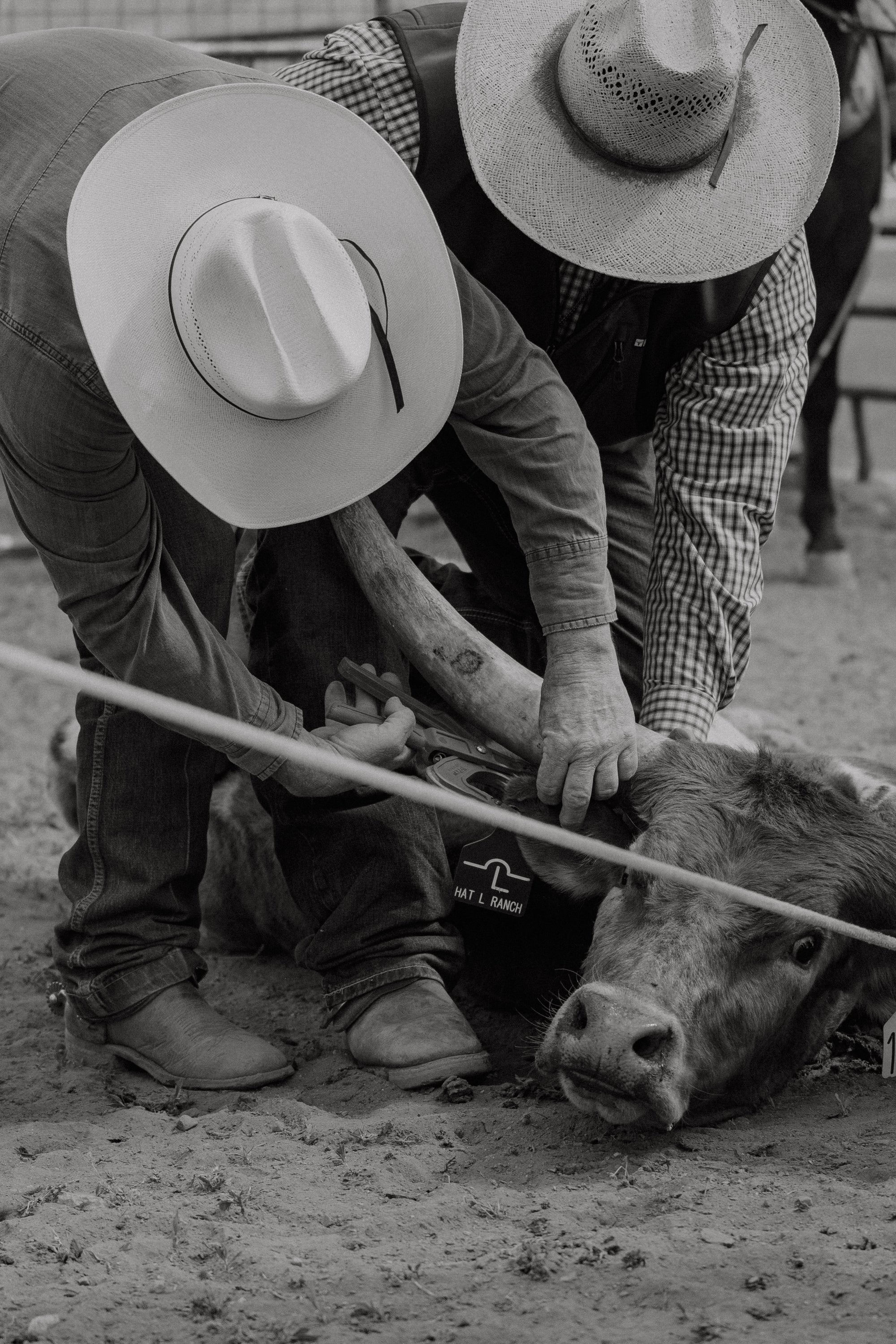 Ranching Supplies