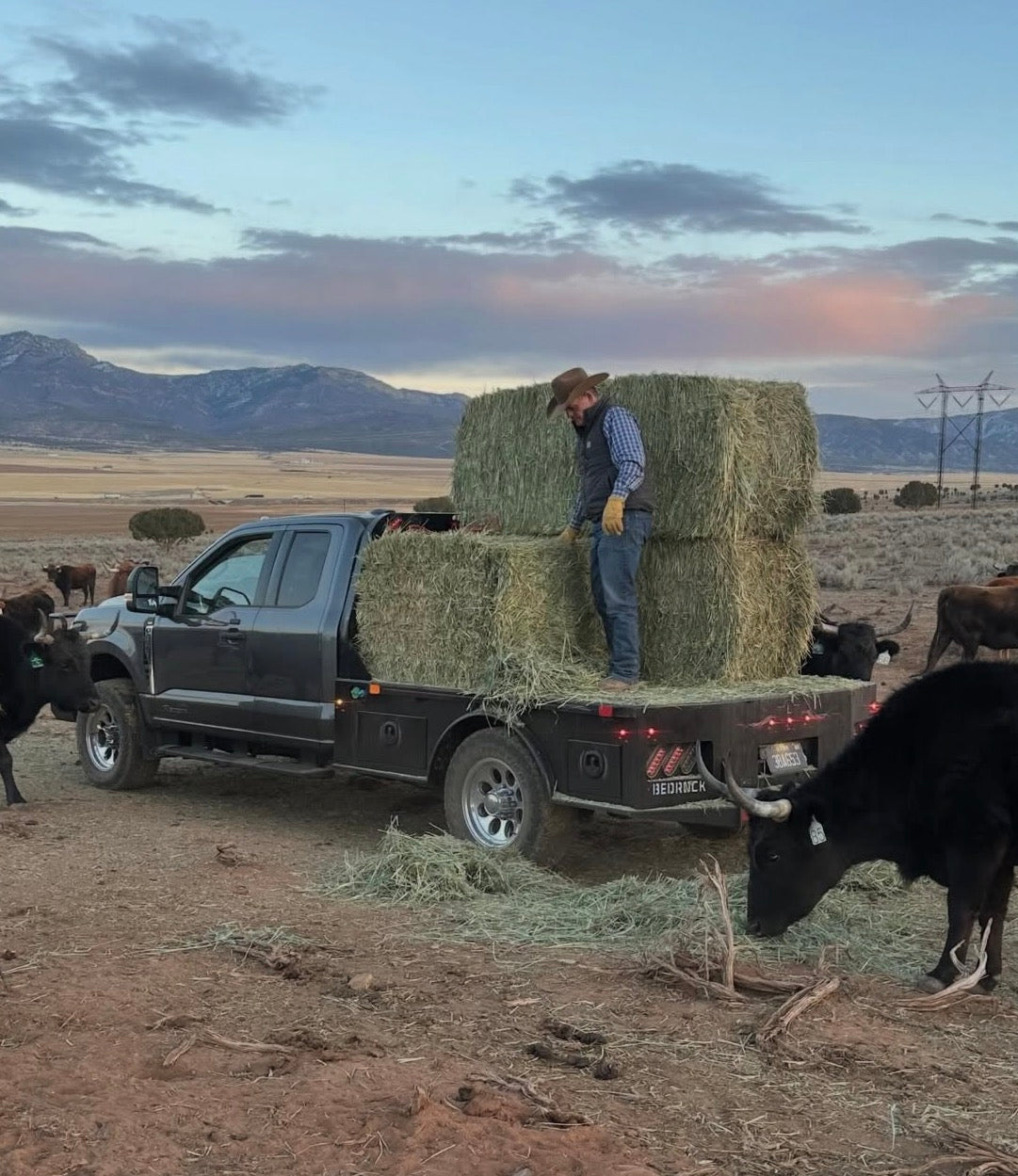 Truck Beds