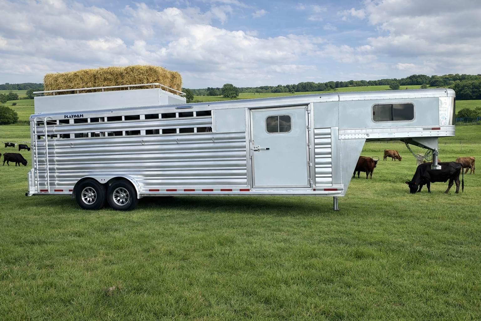 Horse Trailers