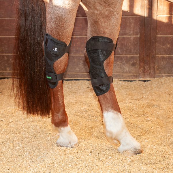 Therapeutic Legwear