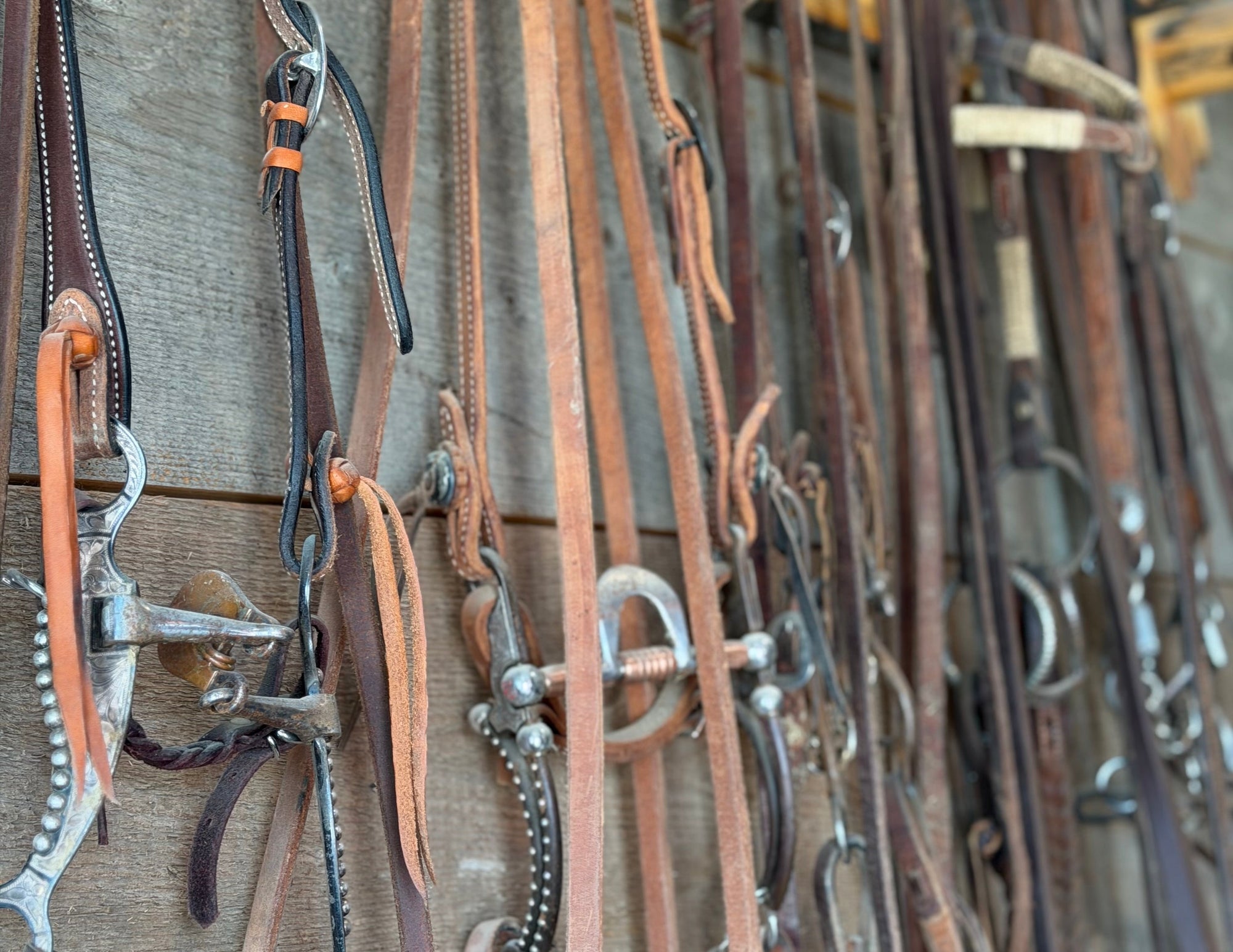 Split Reins