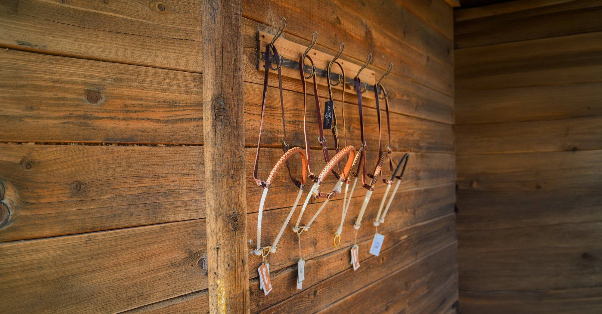 Nose Bands / Tiedown Straps