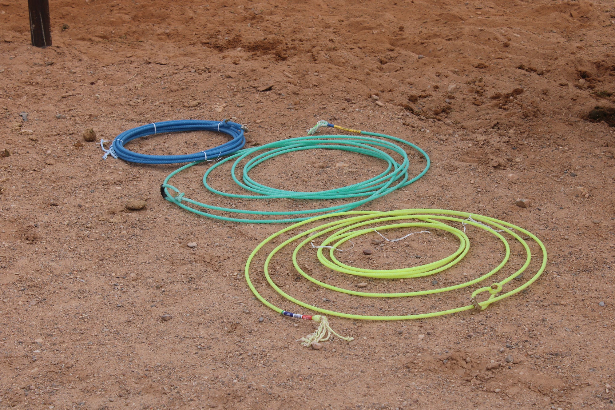 Roping Supplies