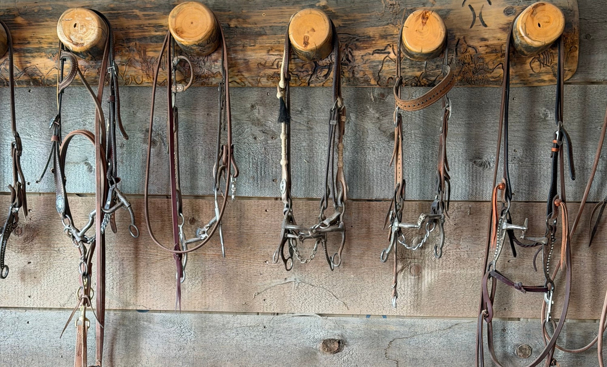 Single Reins