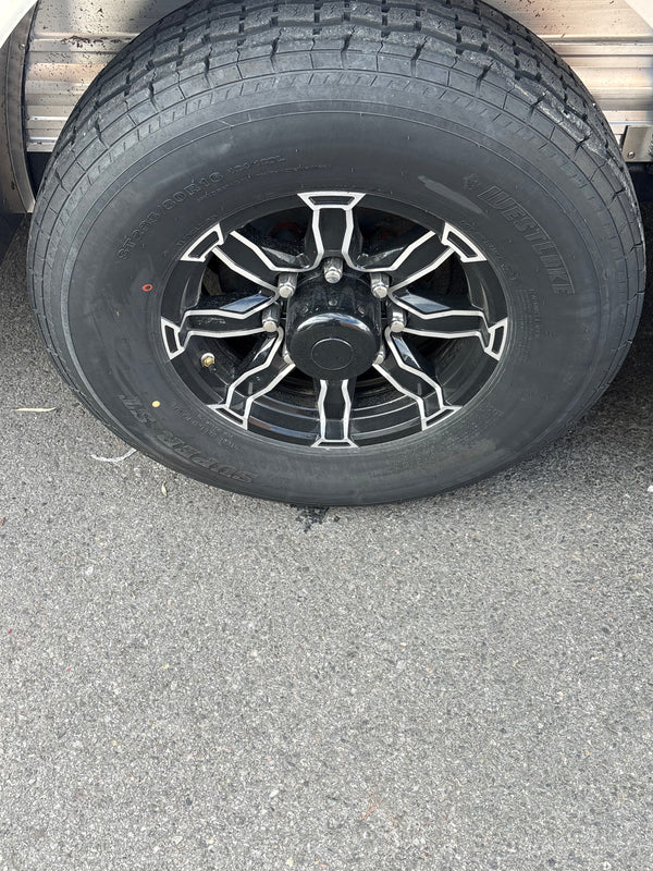 2026 Logan Coach 4 horse Bullseye XL