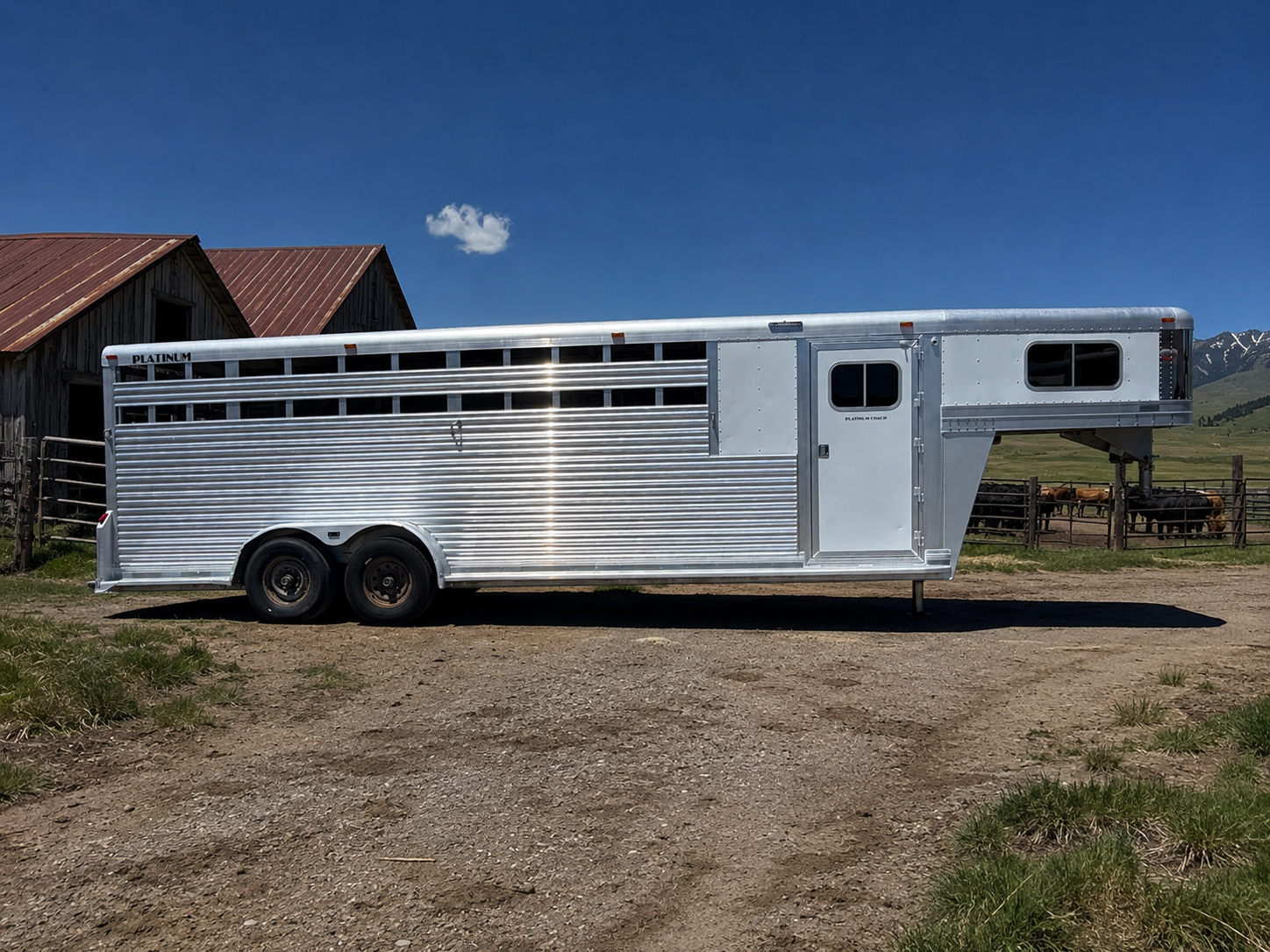 2009 Platinum Coach Stock Combo