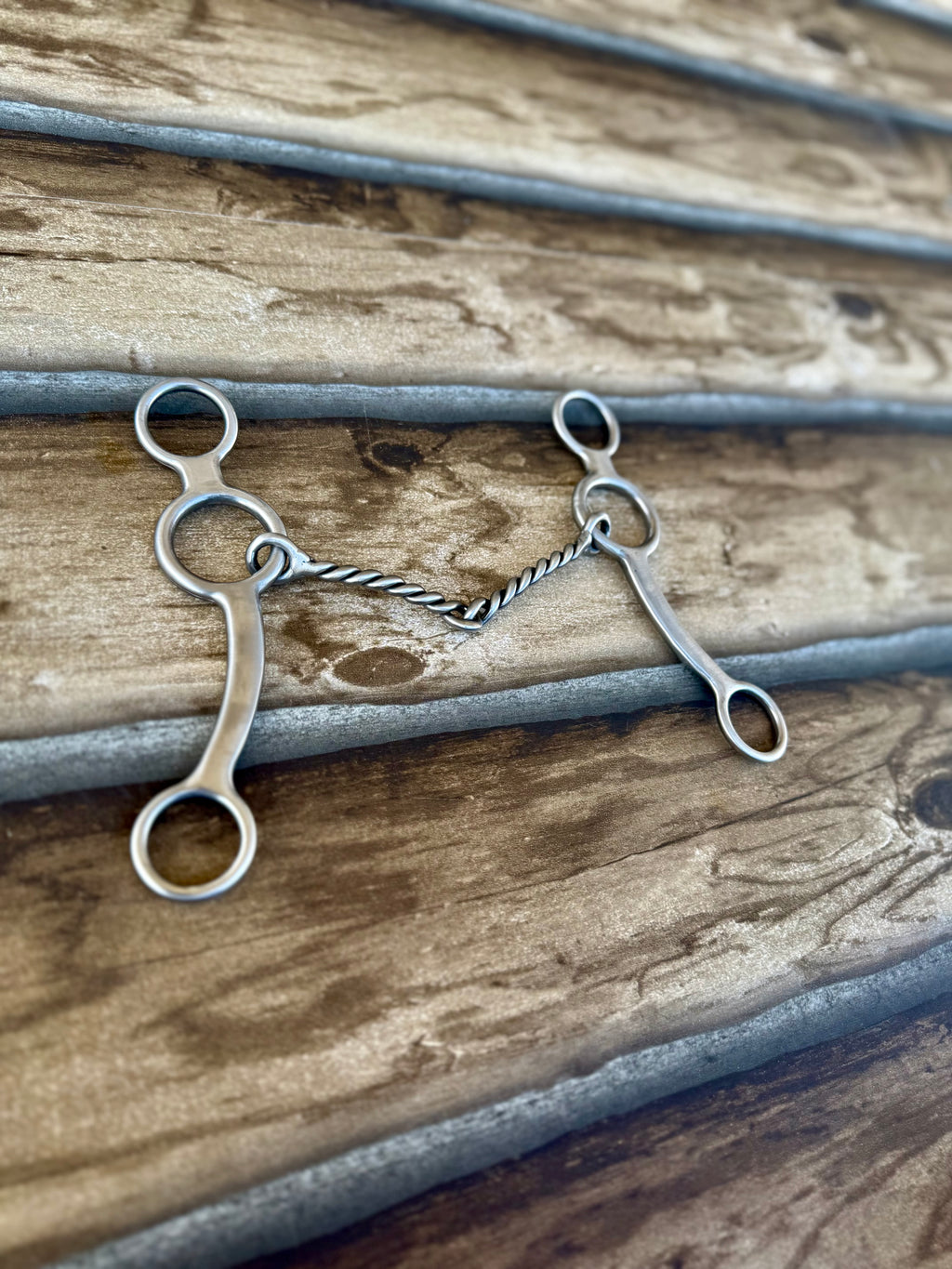 Equibrand Twisted Wire Ring Gag Bit 6-1/2”