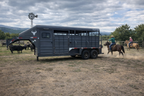 2021 Swift Built 22’ Stock Trailer