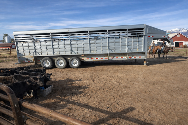 GR 22’ Stock Trailer