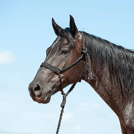 Cashel Braided Black Mule Tape Halter With 9' Lead Rope