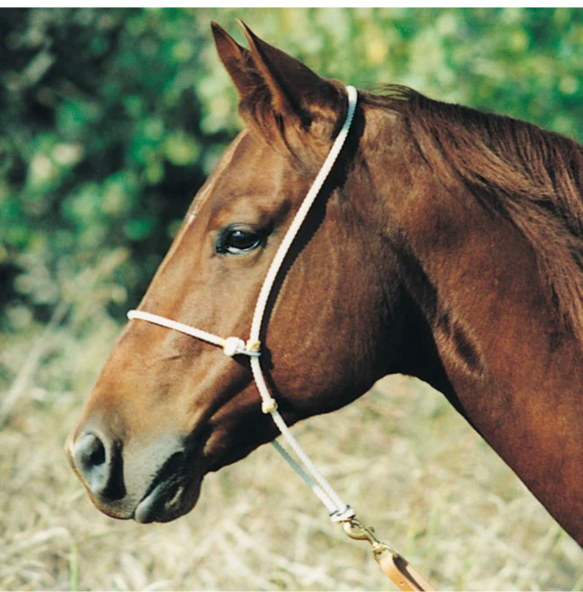 Martin Headsetter with Rope Noseband