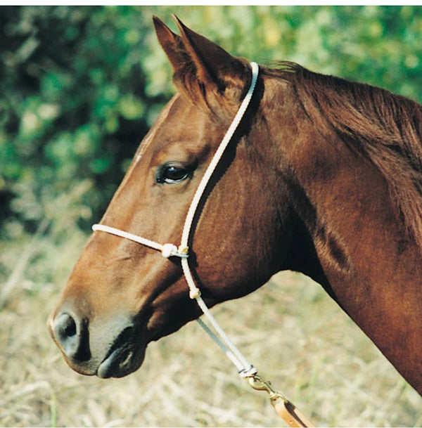 EQUIBRAND HEADSETTER WITH ROPE NOSEBAND