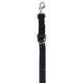 Professional Choice 1" Nylon Tie Down