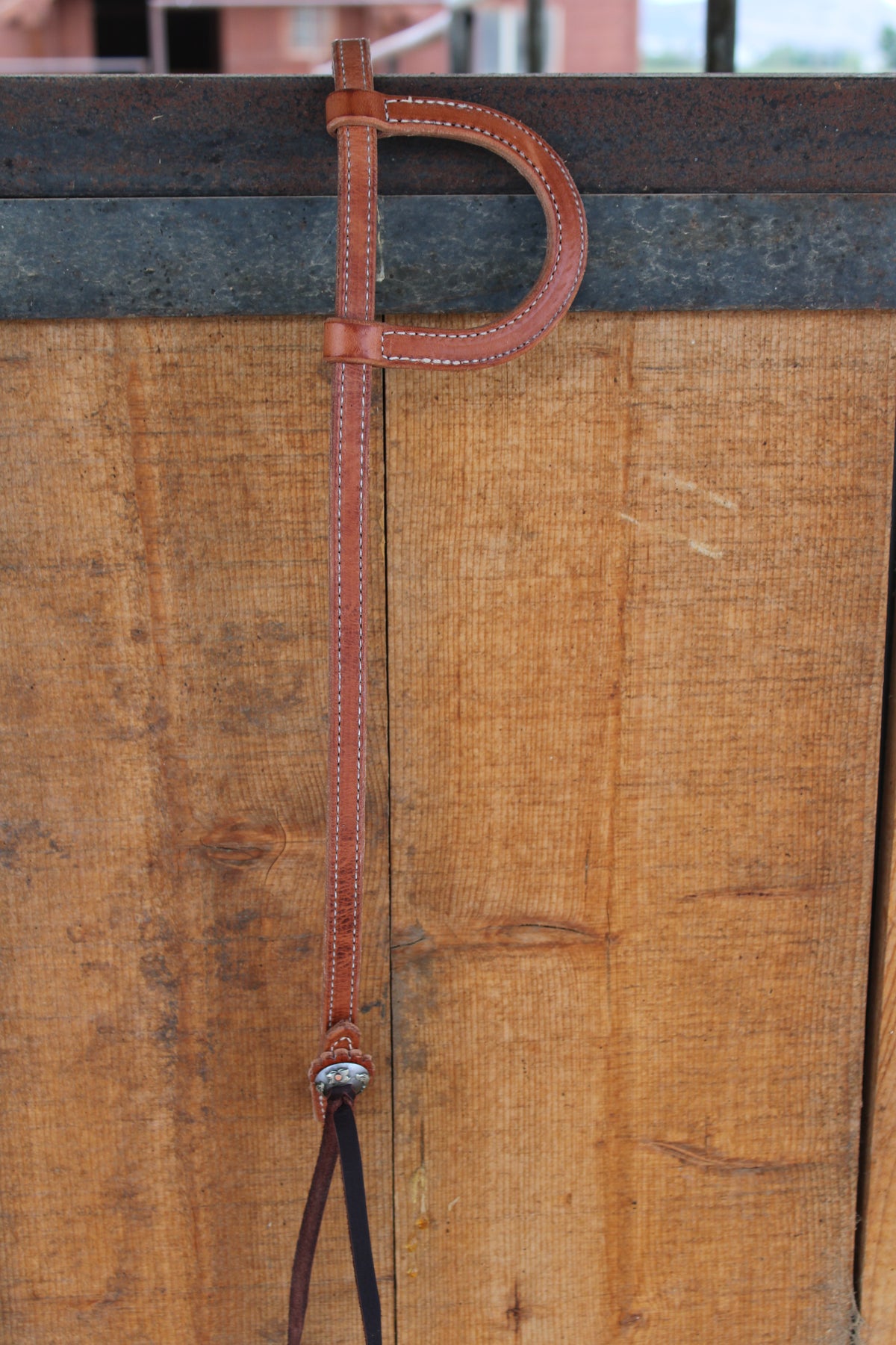 Cactus Saddlery Trevor Brazile Flat Ear Headstall