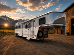 2006 Classic 4 Horse LQ #8516