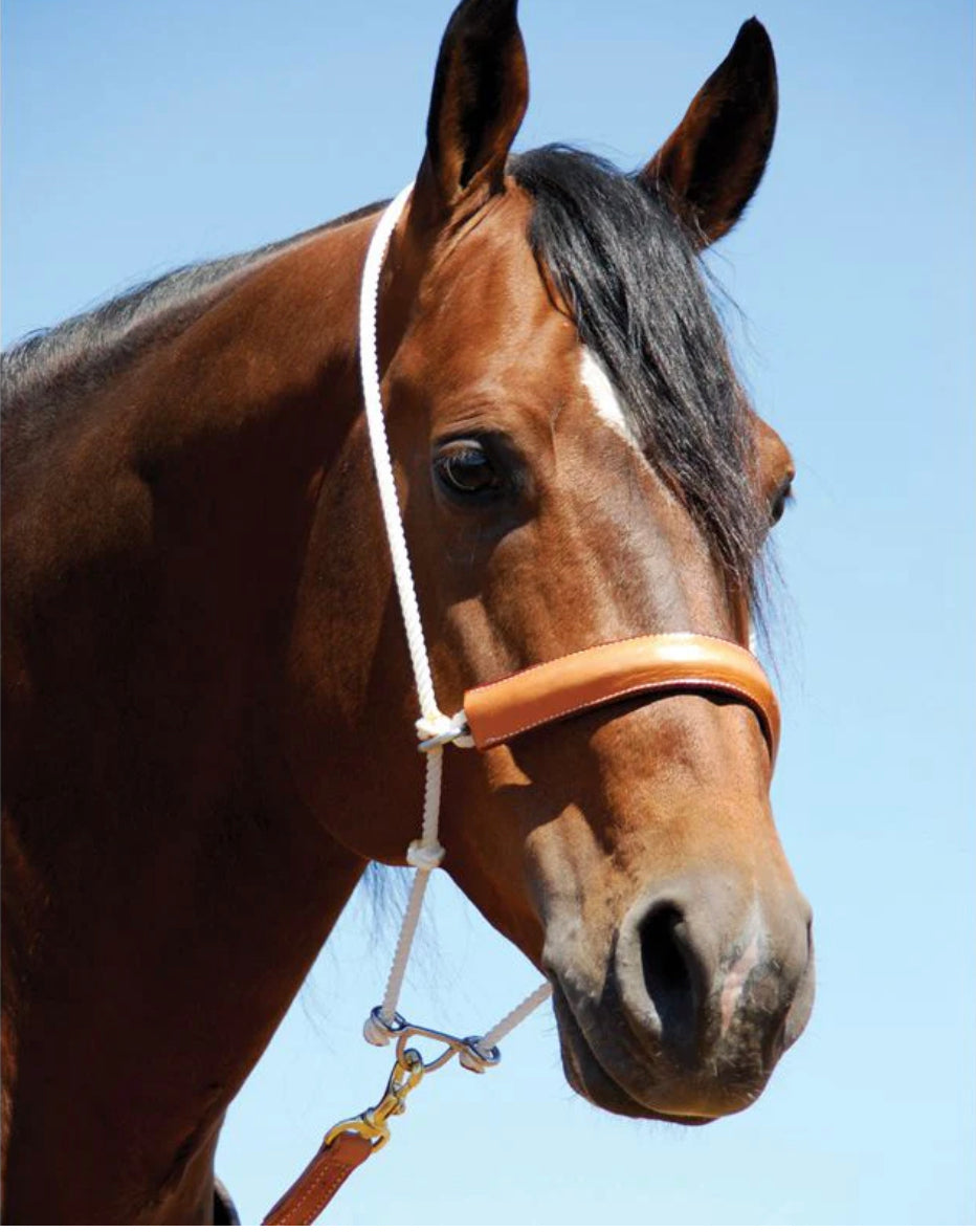 Martin Rope Headsetter With Leather Cover