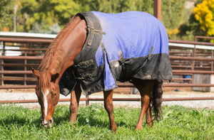 Tough 1 1200D Turnout Blanket With Snuggit Neck