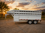 2009 Donahue Stock Trailer #21292