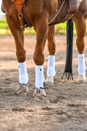 Leg Boots for Horses - Horse Illustrated Magazine
