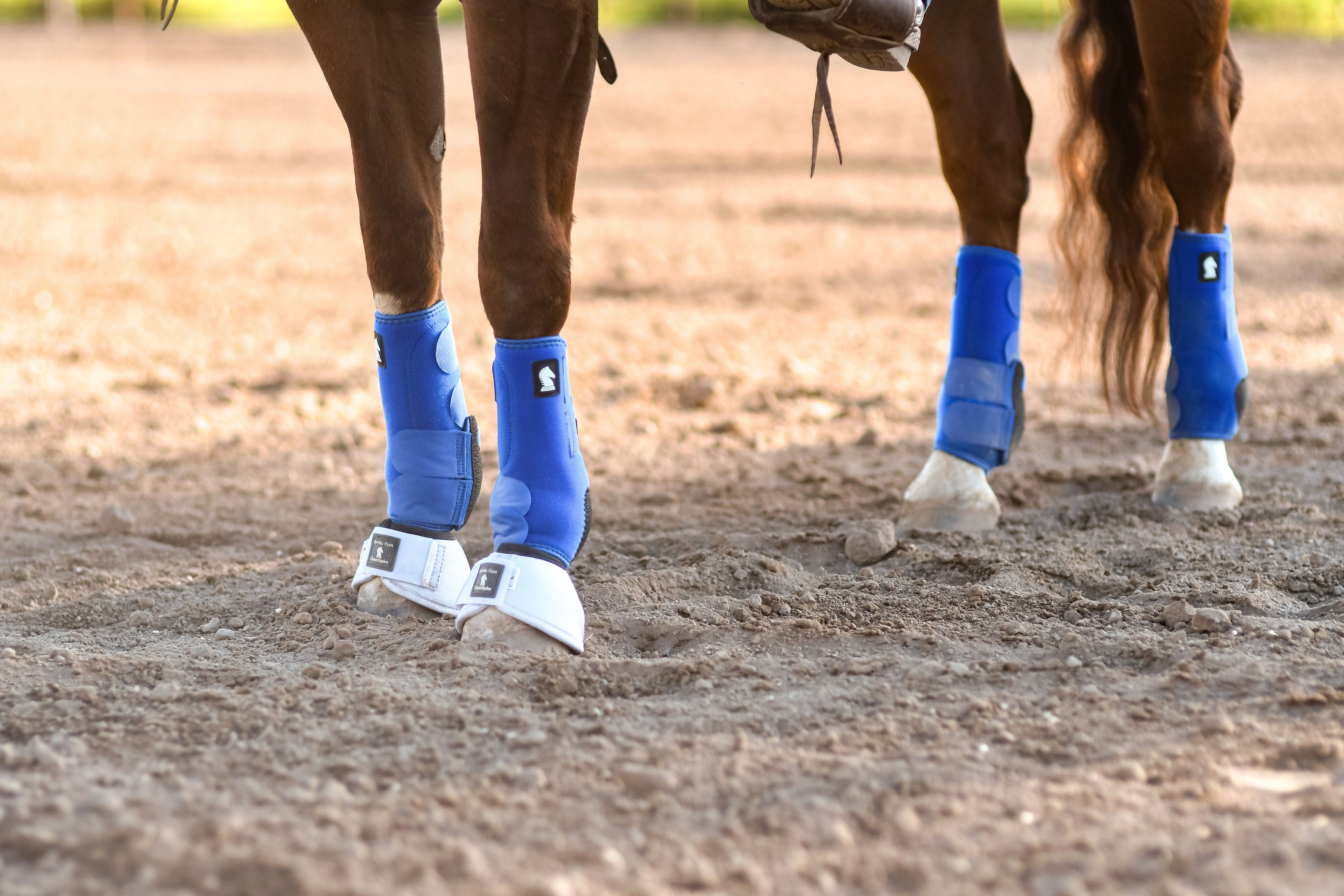 Legacy2 Hind Boots