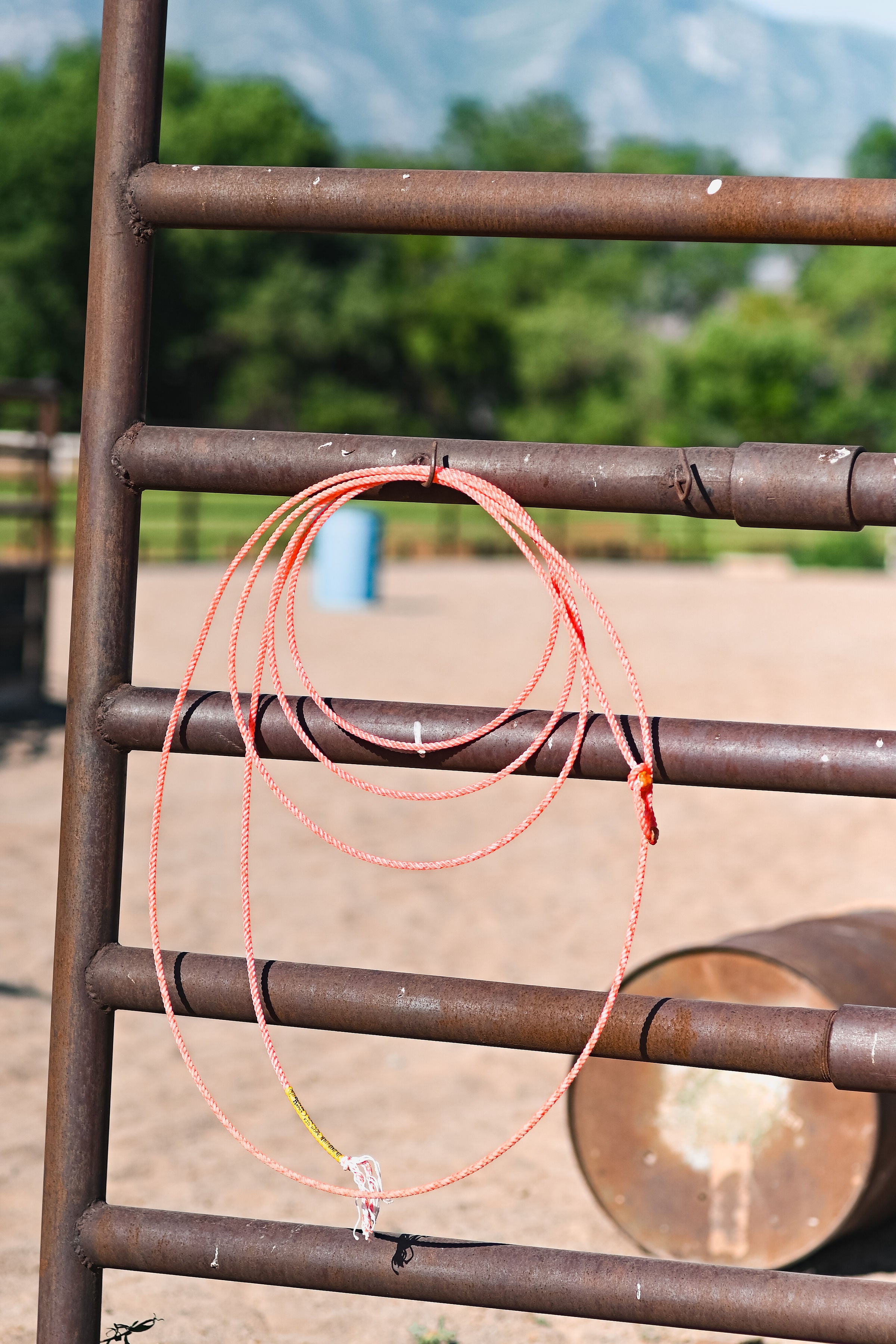 Cactus Kid Rope