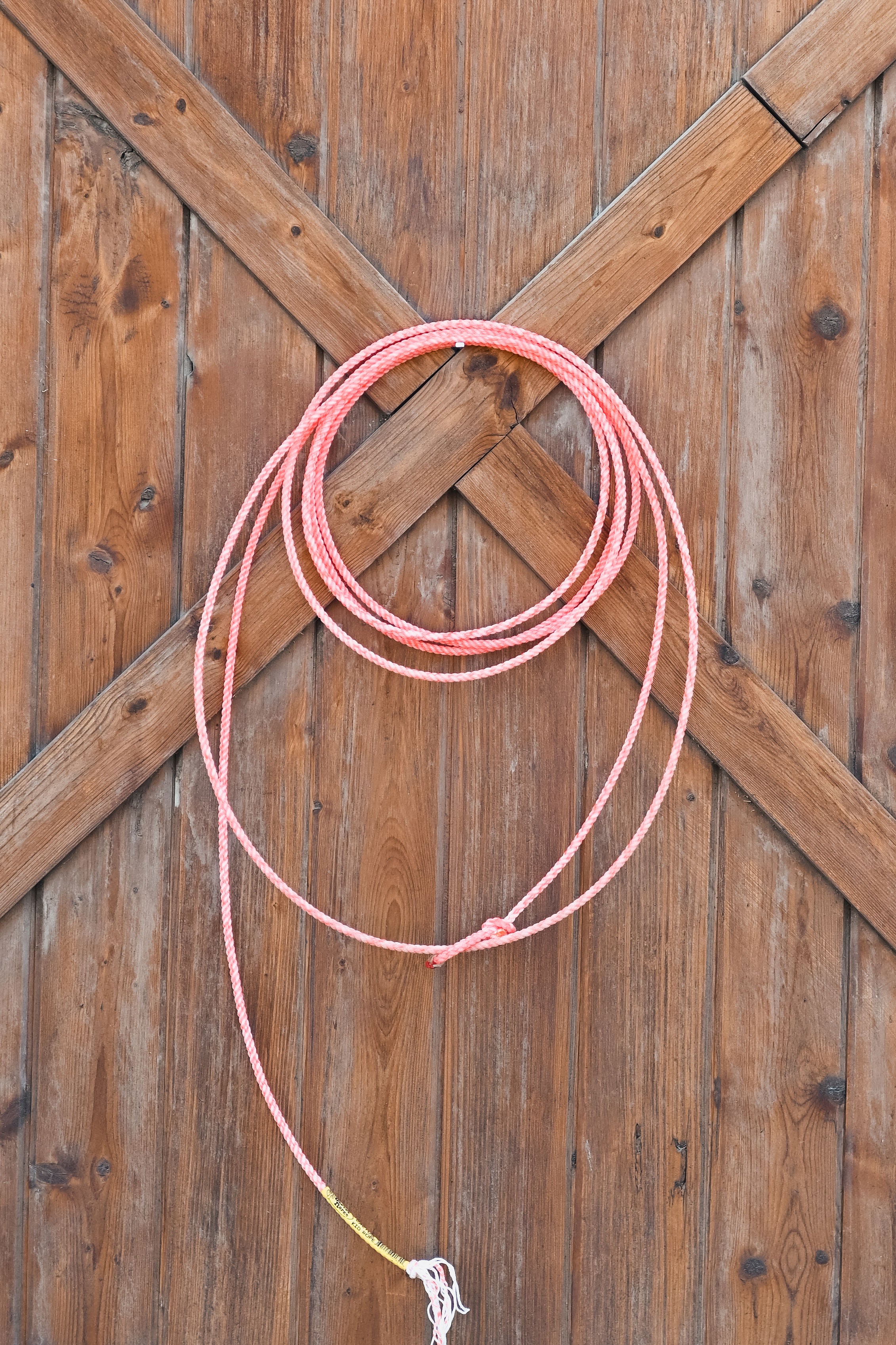 Cactus Kid Rope