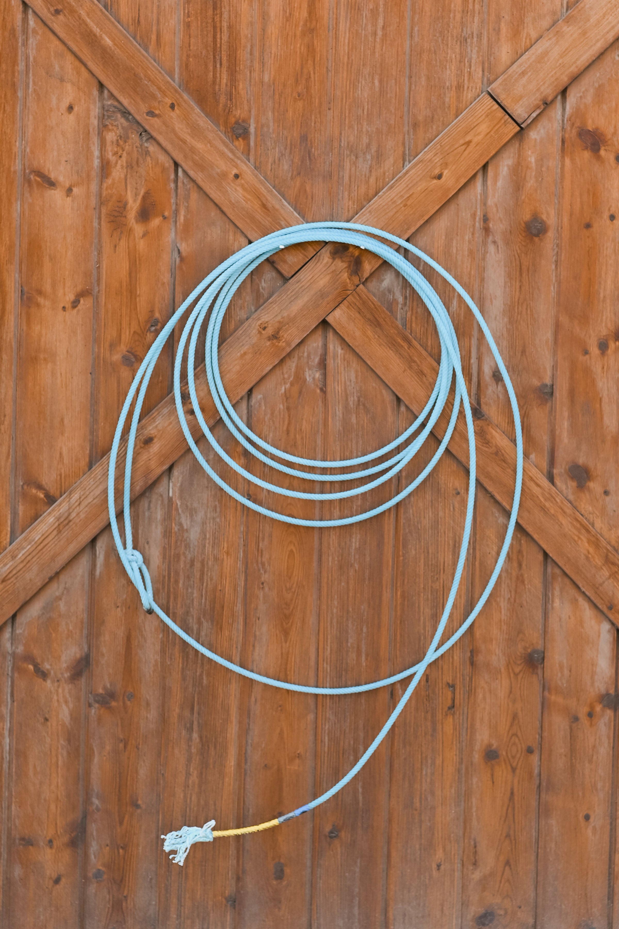 Cactus Ropes Future Head Rope