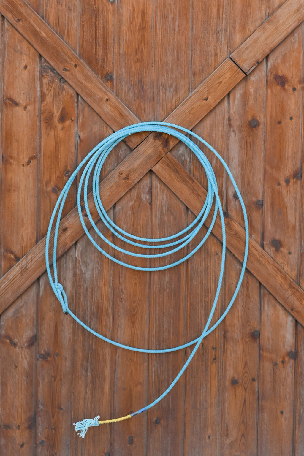 Cactus Ropes Future Heel Rope