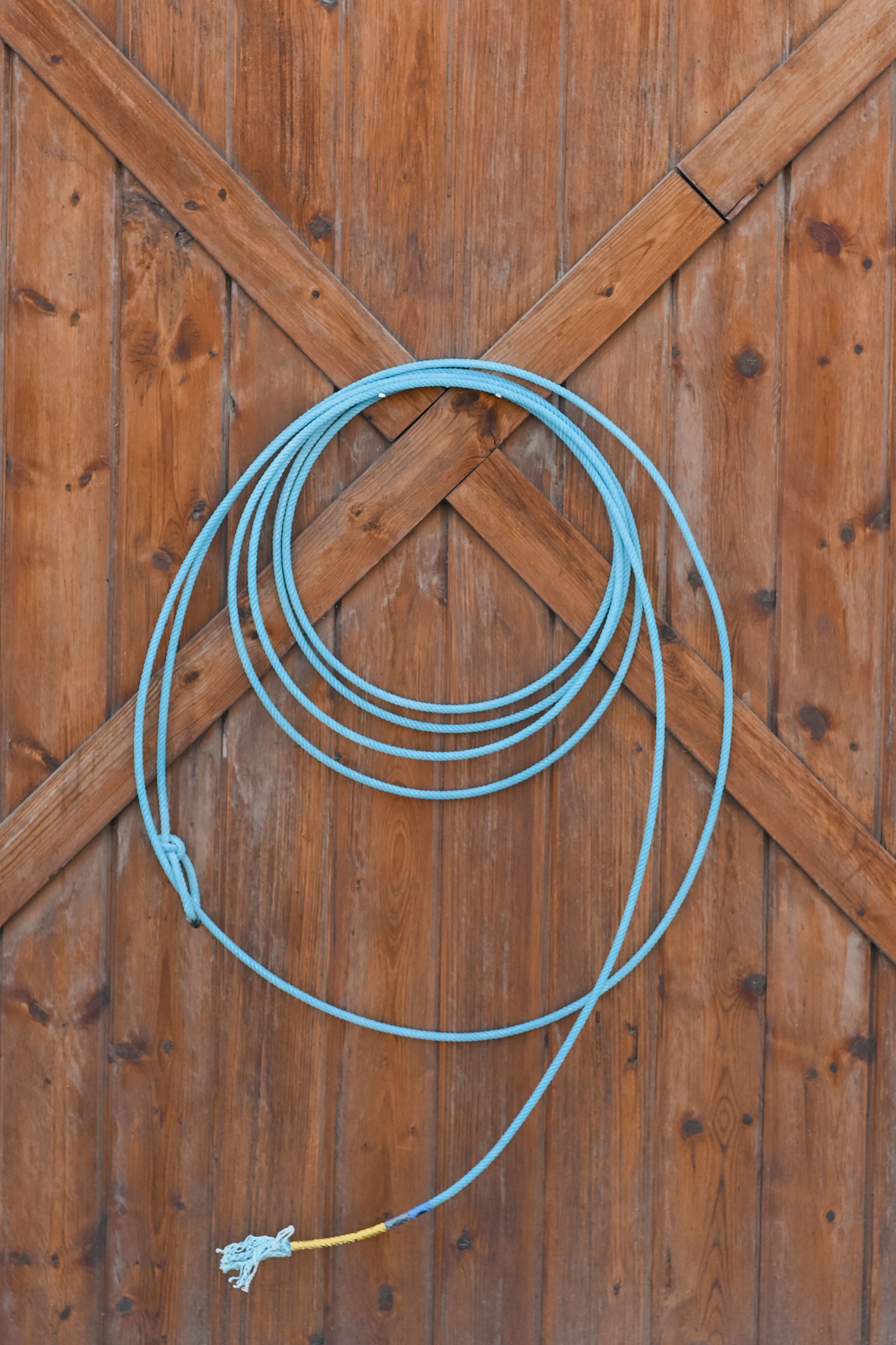 Cactus Ropes Future Heel Rope