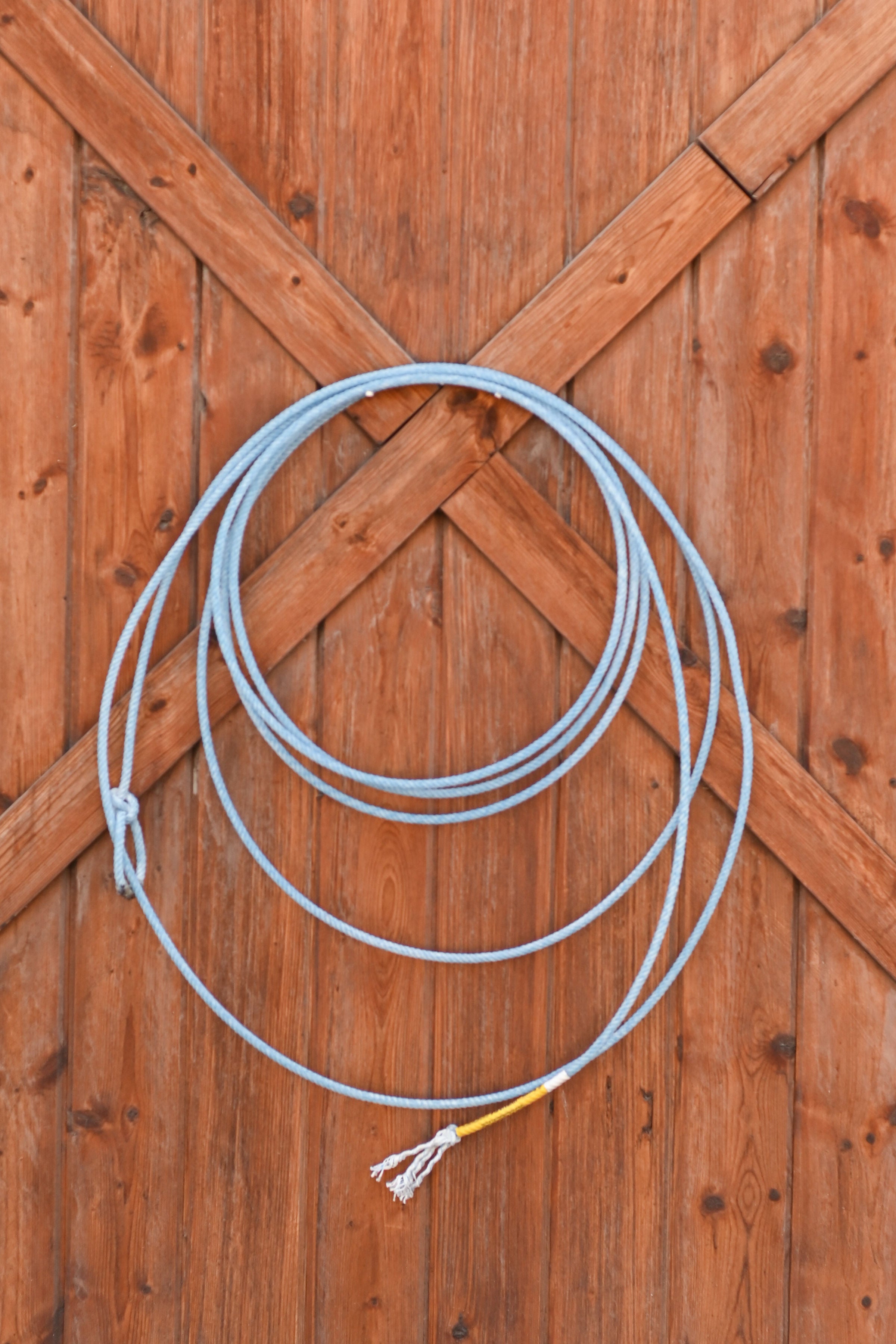 Cactus Ropes Hypnotic Head Rope 31'