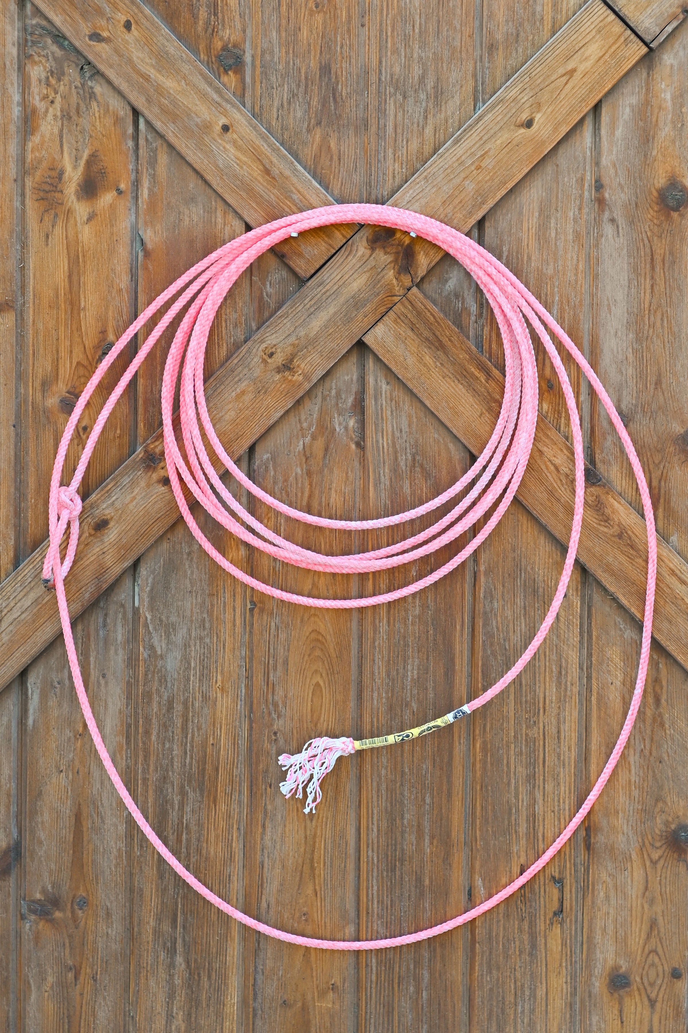 Cactus Ropes C4 Relentless Head Rope 31'