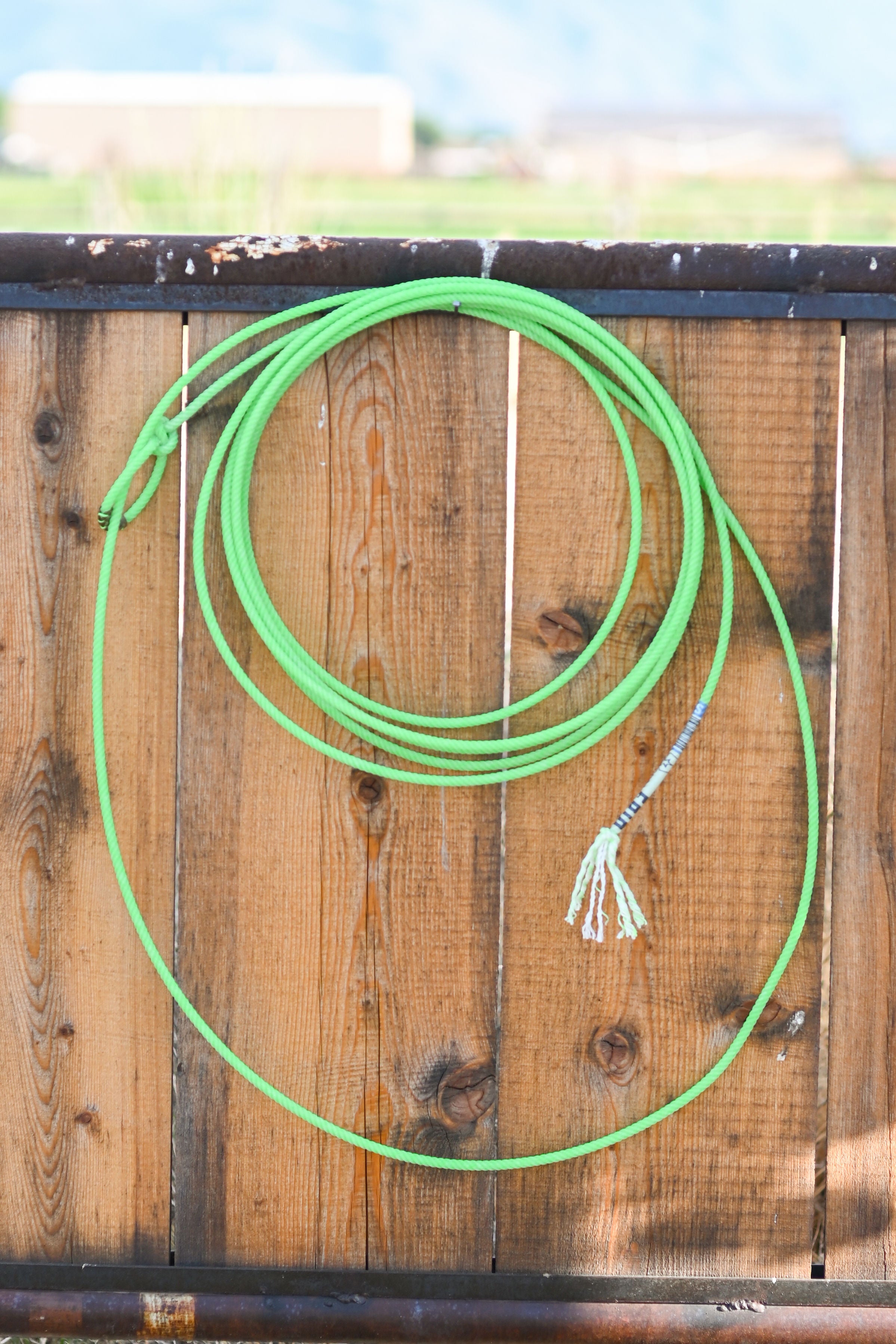 Lone Star Frio Heel Rope