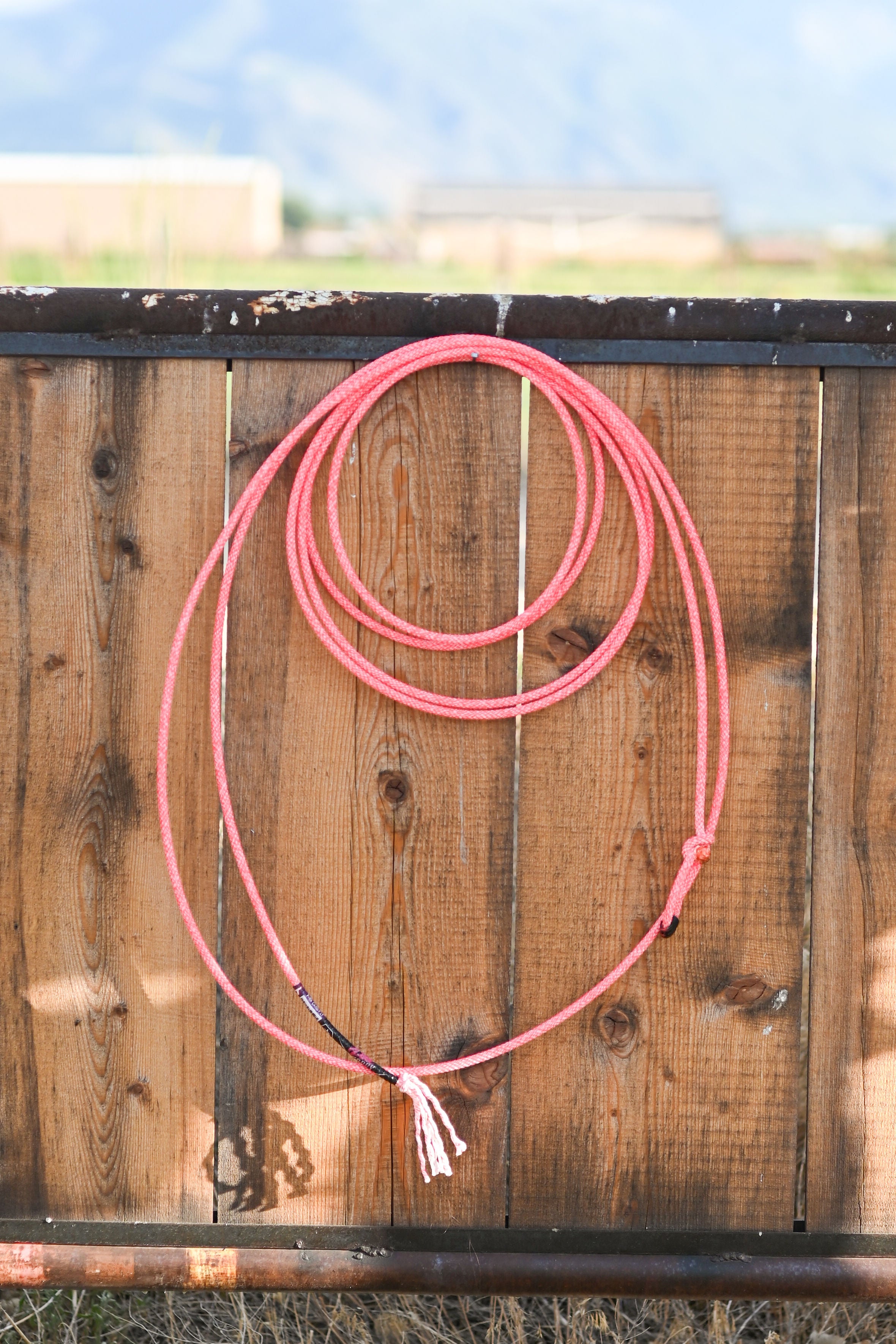 Lone Star Ropes Pink Caddy 5 Strand Breakaway Rope