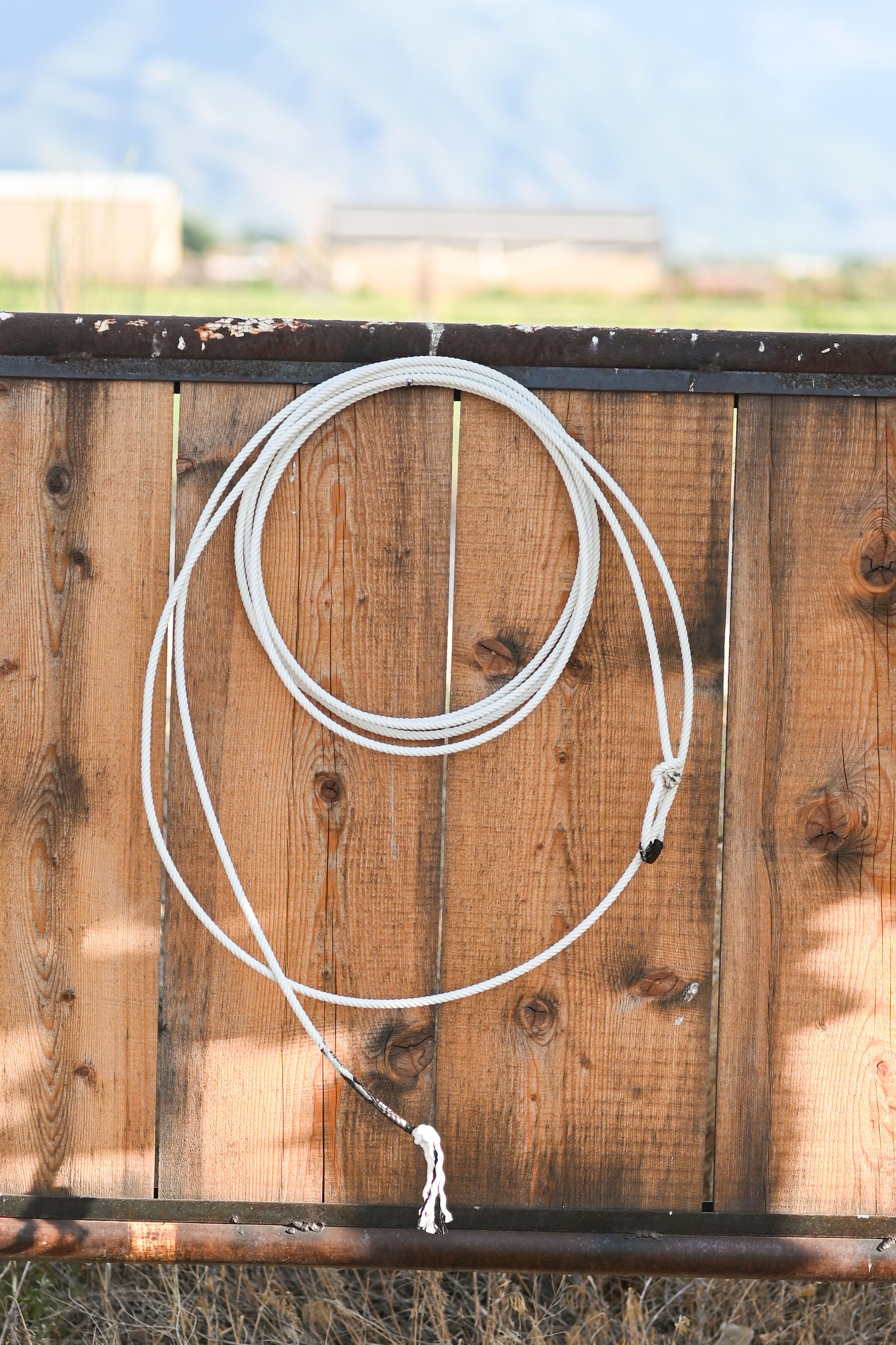 Lone Star Ropes Win 4 Strand Breakaway Rope