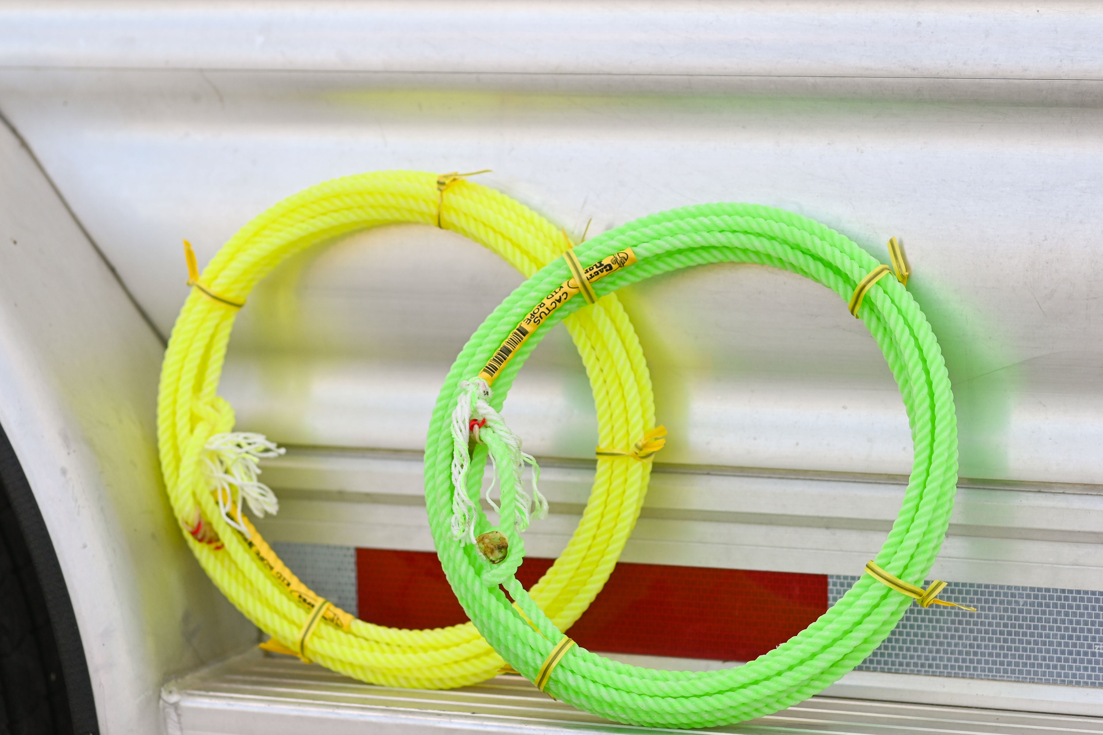 Cactus Kid Rope