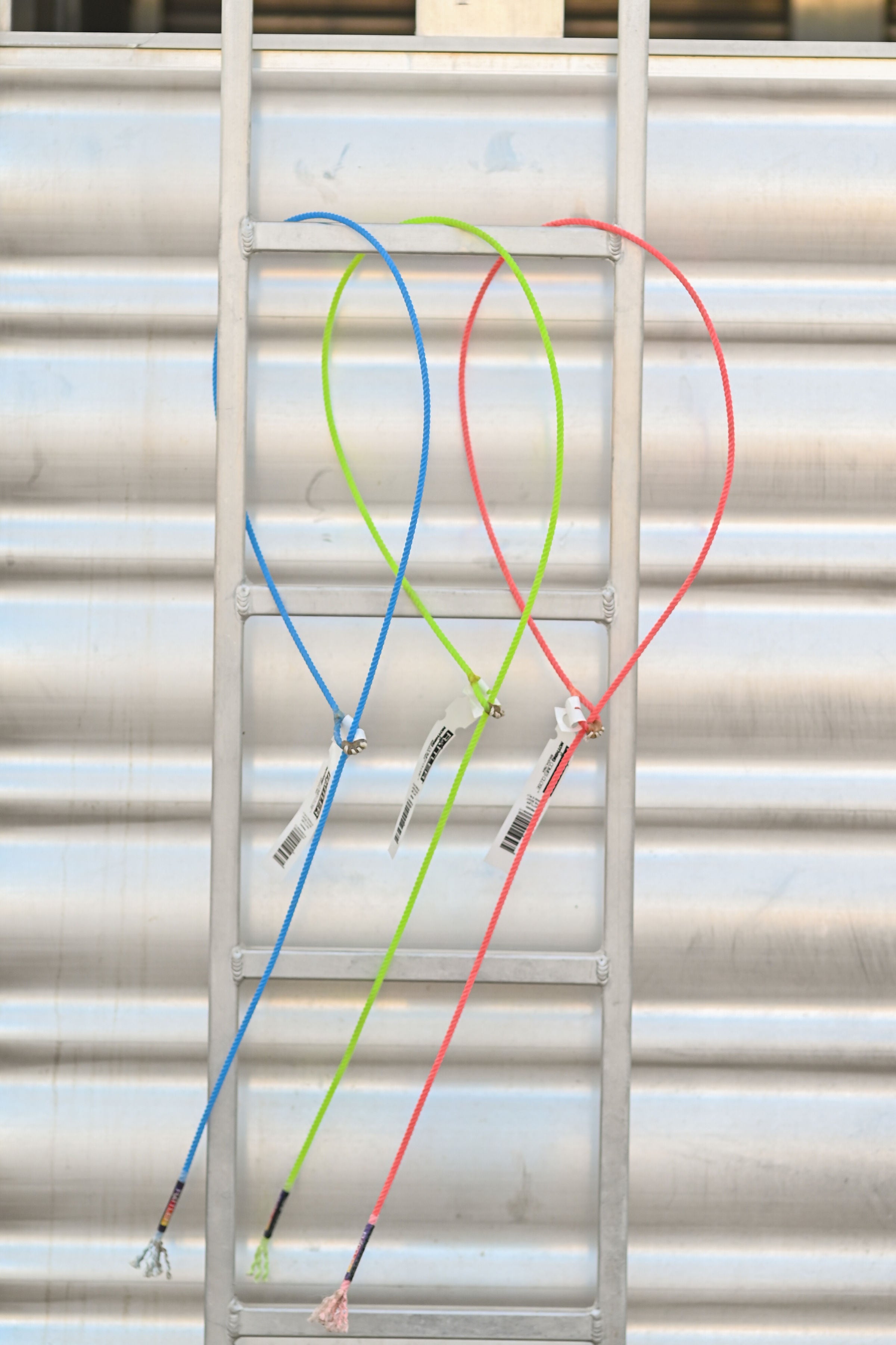 Rattler Boy Goat String