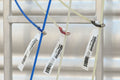 Rattler Piggin String