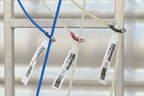 Rattler Piggin String